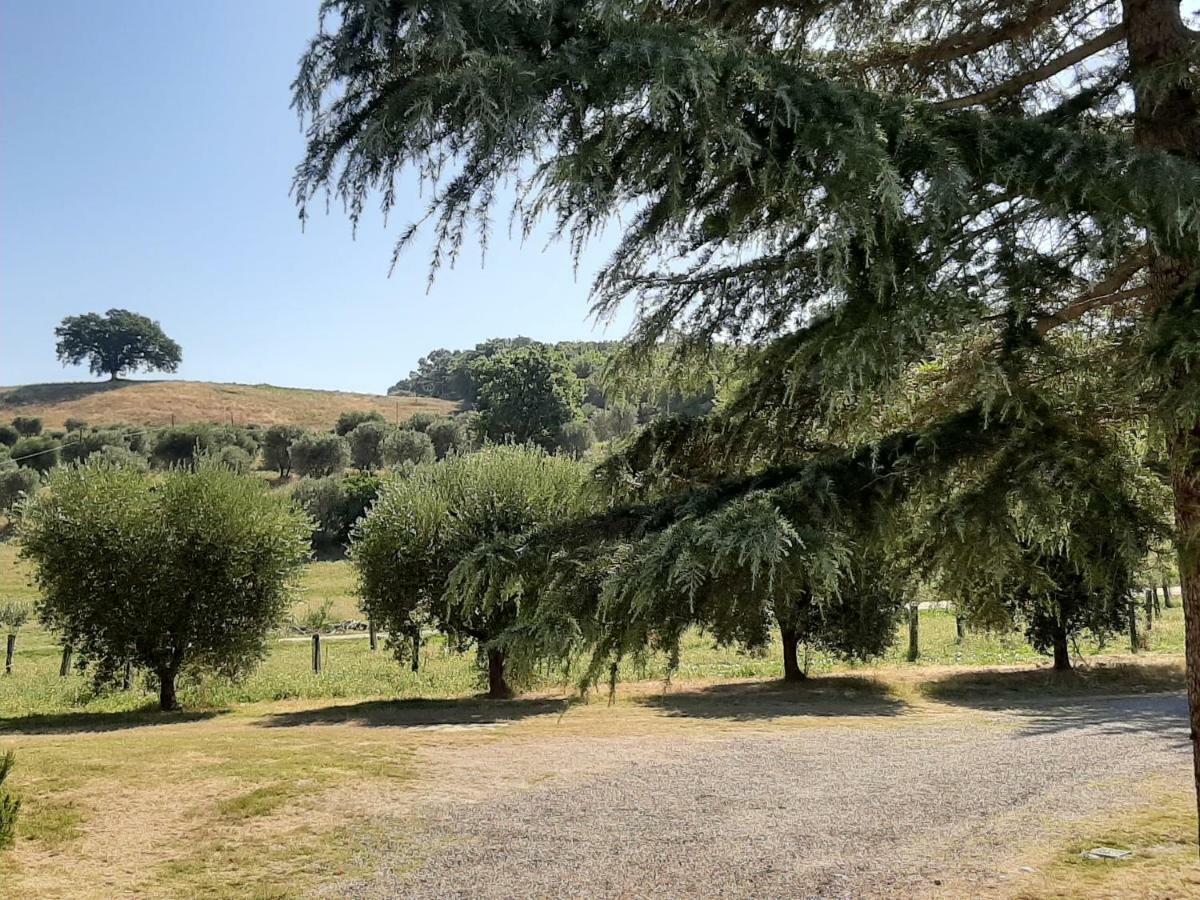 Villa La Moiana 1756 Castiglione dʼOrcia Exterior foto